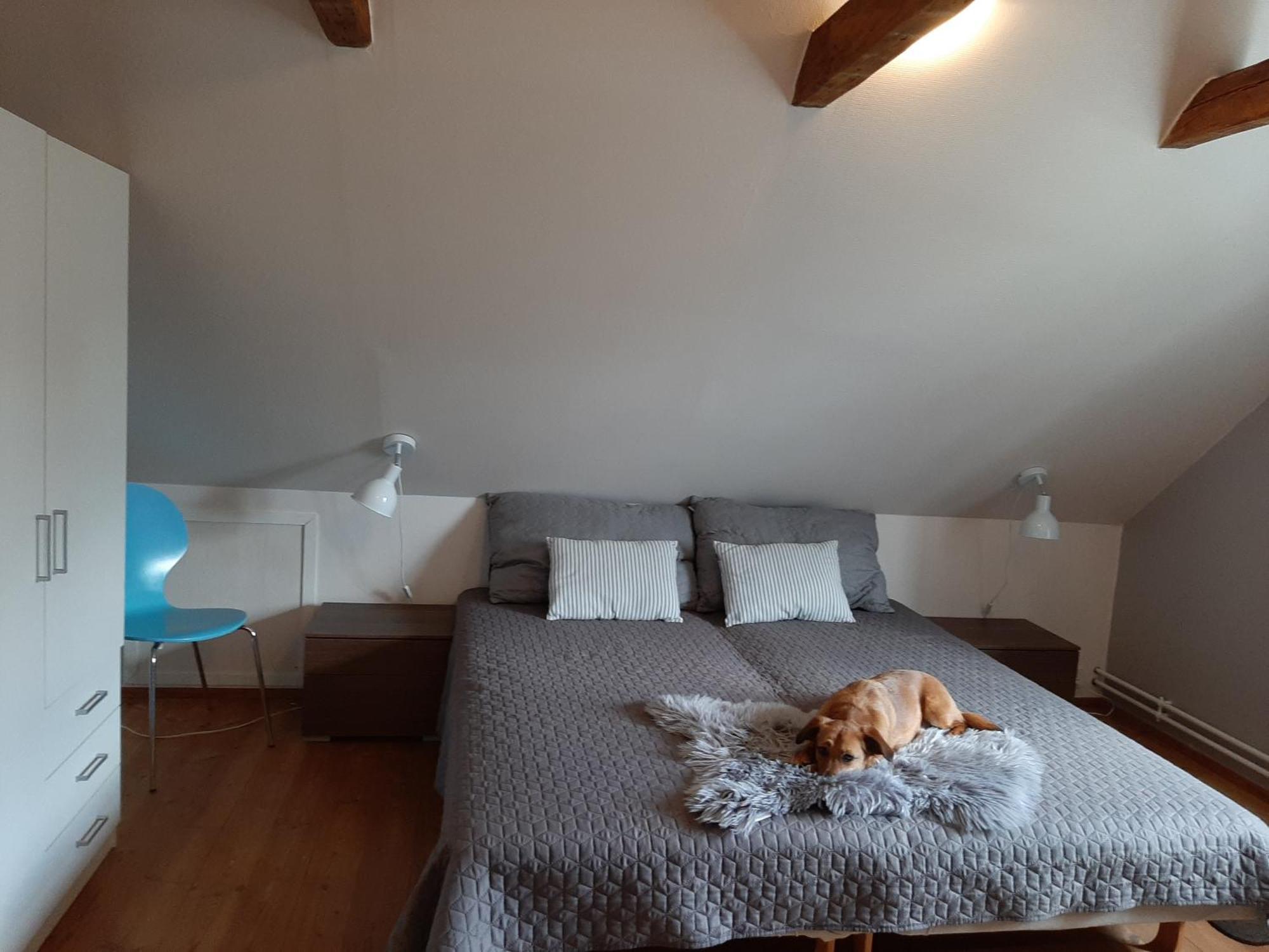 Stor Villa I Lendemarke Stege Εξωτερικό φωτογραφία